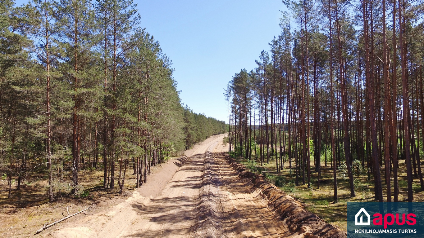 Kairėnuose, Vilniuje