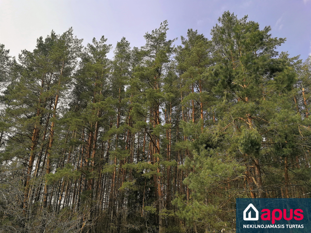Pagubės Sodų 20-oji g., Balsiuose, Vilniuje