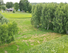 Paberžės g., Pikeliškių k., Vilniaus r. sav.