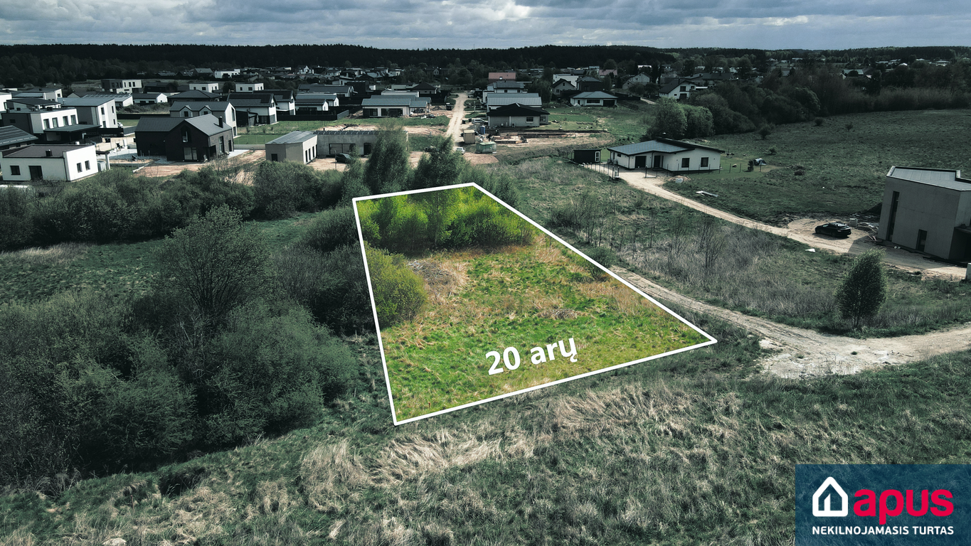 Didžiuosiuose Gulbinuose, Vilniuje