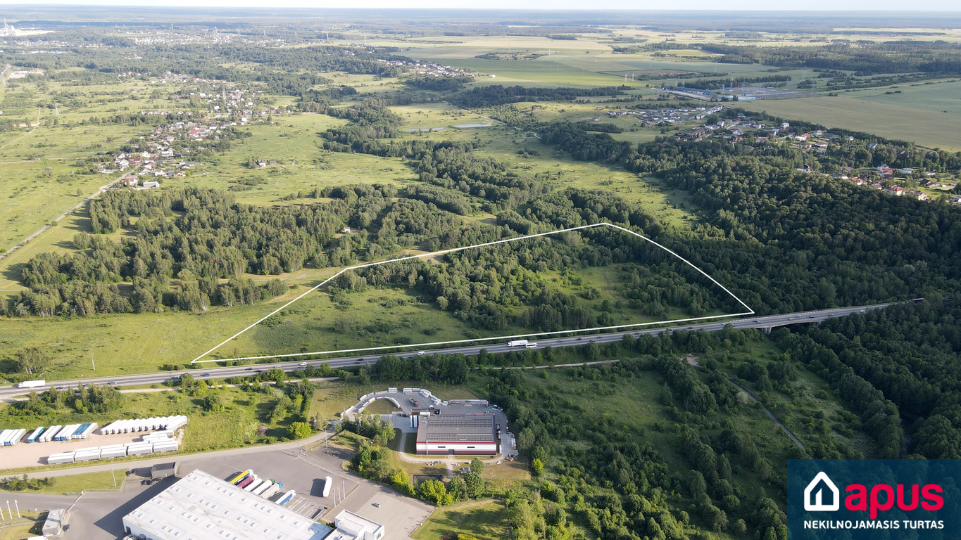 Paneriuose, Vilniuje