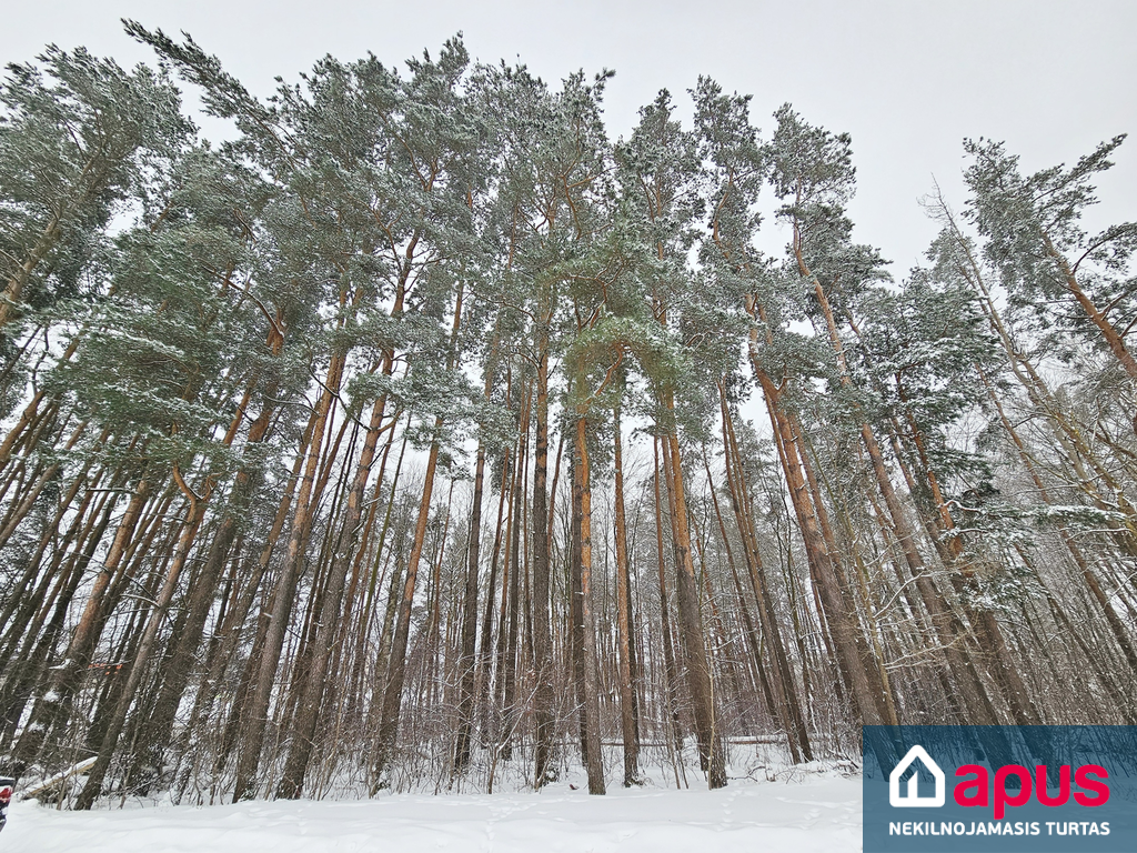 Senoji g., Didžiosios Riešės k., Vilniaus r. sav.